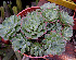  ( - JE-4353)  @11 [ ] Unspecified (default): All Rights Reserved  Unspecified Unspecified