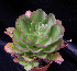  ( - JE-5614)  @11 [ ] Unspecified (default): All Rights Reserved  Unspecified Unspecified