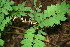  ( - BioBot00015)  @11 [ ] Copyright (2010) Unspecified Unspecified