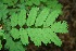  ( - BioBot00015)  @11 [ ] Copyright (2010) Unspecified Unspecified