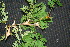  ( - BioBot00028)  @11 [ ] Copyright (2010) Unspecified Unspecified