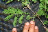  ( - BioBot00028)  @11 [ ] Copyright (2010) Unspecified Unspecified