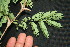  ( - BioBot00028)  @11 [ ] Copyright (2010) Unspecified Unspecified