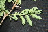  ( - BioBot00028)  @11 [ ] Copyright (2010) Unspecified Unspecified