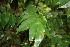  ( - BioBot00100)  @11 [ ] Copyright (2010) Unspecified Unspecified