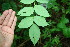  ( - BioBot00101)  @11 [ ] Copyright (2010) Unspecified Unspecified