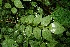  ( - BioBot00103)  @11 [ ] Copyright (2010) Unspecified Unspecified