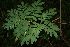  ( - BioBot00137)  @11 [ ] Copyright (2010) Unspecified Unspecified
