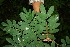  ( - BioBot00137)  @11 [ ] Copyright (2010) Unspecified Unspecified