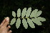  ( - BioBot00137)  @11 [ ] Copyright (2010) Unspecified Unspecified
