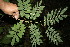  ( - BioBot00138)  @11 [ ] Copyright (2010) Unspecified Unspecified