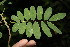  ( - BioBot00138)  @11 [ ] Copyright (2010) Unspecified Unspecified