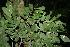  ( - BioBot00139)  @11 [ ] Copyright (2010) Unspecified Unspecified