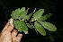  ( - BioBot00139)  @11 [ ] Copyright (2010) Unspecified Unspecified