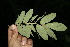  ( - BioBot00139)  @11 [ ] Copyright (2010) Unspecified Unspecified