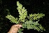  ( - BioBot00139)  @11 [ ] Copyright (2010) Unspecified Unspecified