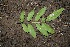  ( - BioBot00145)  @11 [ ] Copyright (2010) Unspecified Unspecified
