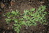  ( - BioBot00146)  @11 [ ] Copyright (2010) Unspecified Unspecified