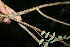  ( - BioBot00146)  @11 [ ] Copyright (2010) Unspecified Unspecified