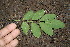  ( - BioBot00146)  @11 [ ] Copyright (2010) Unspecified Unspecified