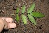  ( - BioBot00147)  @11 [ ] Copyright (2010) Unspecified Unspecified