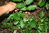  ( - BioBot00176)  @11 [ ] Copyright (2010) Unspecified Unspecified
