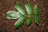  ( - BioBot00176)  @11 [ ] Copyright (2010) Unspecified Unspecified