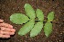  ( - BioBot00176)  @11 [ ] Copyright (2010) Unspecified Unspecified