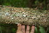  ( - BioBot00177)  @11 [ ] Copyright (2010) Unspecified Unspecified