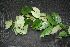  ( - BioBot00197)  @11 [ ] Copyright (2010) Unspecified Unspecified