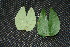  ( - BioBot00197)  @11 [ ] Copyright (2010) Unspecified Unspecified