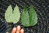  ( - BioBot00197)  @11 [ ] Copyright (2010) Unspecified Unspecified