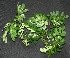  ( - BioBot00198)  @11 [ ] Copyright (2010) Unspecified Unspecified