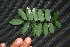  ( - BioBot00198)  @11 [ ] Copyright (2010) Unspecified Unspecified