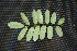 ( - BioBot00198)  @11 [ ] Copyright (2010) Unspecified Unspecified