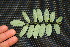  ( - BioBot00198)  @11 [ ] Copyright (2010) Unspecified Unspecified