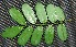  ( - BioBot00199)  @11 [ ] Copyright (2010) Unspecified Unspecified