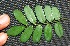  ( - BioBot00199)  @11 [ ] Copyright (2010) Unspecified Unspecified