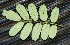  ( - BioBot00199)  @11 [ ] Copyright (2010) Unspecified Unspecified