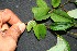  ( - BioBot00200)  @11 [ ] Copyright (2010) Unspecified Unspecified