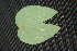  ( - BioBot00200)  @11 [ ] Copyright (2010) Unspecified Unspecified