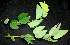  ( - BioBot00241)  @11 [ ] Copyright (2010) Unspecified Unspecified