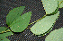  ( - BioBot00241)  @11 [ ] Copyright (2010) Unspecified Unspecified