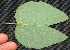  ( - BioBot00241)  @11 [ ] Copyright (2010) Unspecified Unspecified