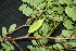  ( - BioBot00247)  @11 [ ] Copyright (2010) Unspecified Unspecified