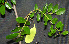  ( - BioBot00247)  @11 [ ] Copyright (2010) Unspecified Unspecified