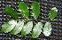  ( - BioBot00247)  @11 [ ] Copyright (2010) Unspecified Unspecified