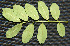  ( - BioBot00247)  @11 [ ] Copyright (2010) Unspecified Unspecified