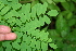  ( - BioBot00260)  @11 [ ] Copyright (2010) Unspecified Unspecified