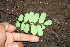  ( - BioBot00260)  @11 [ ] Copyright (2010) Unspecified Unspecified